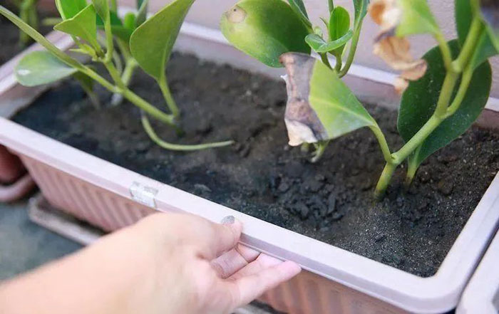 2023010916732355111138311136.jpg 8后.jpg